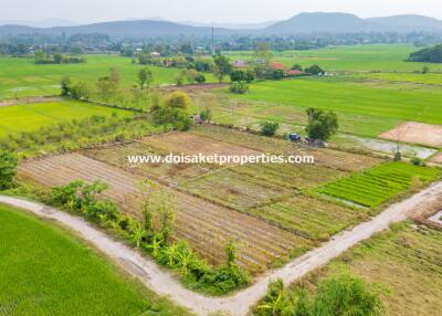 Land with Nice Views for Sale in Pa Pong, Doi Saket, Chiang Mai