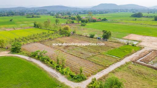 Land with Nice Views for Sale in Pa Pong, Doi Saket, Chiang Mai