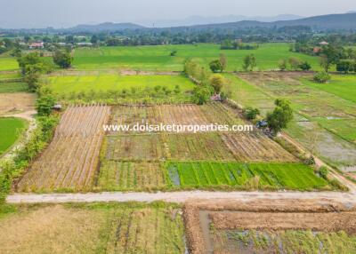 Land with Nice Views for Sale in Pa Pong, Doi Saket, Chiang Mai