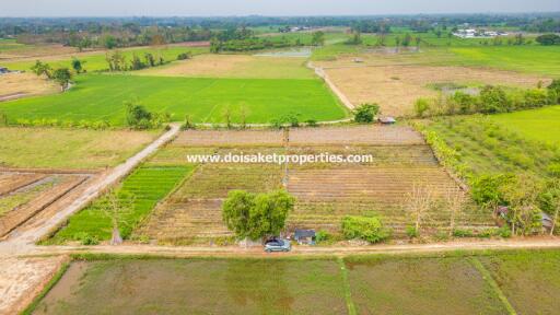 Land with Nice Views for Sale in Pa Pong, Doi Saket, Chiang Mai