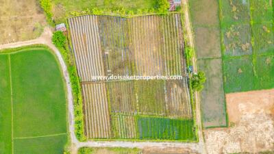 Land with Nice Views for Sale in Pa Pong, Doi Saket, Chiang Mai