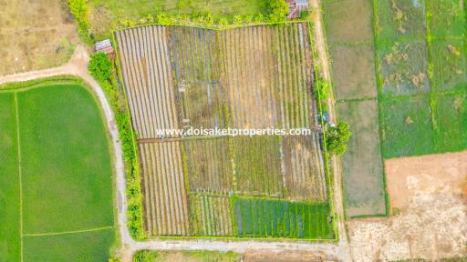 Land with Nice Views for Sale in Pa Pong, Doi Saket, Chiang Mai