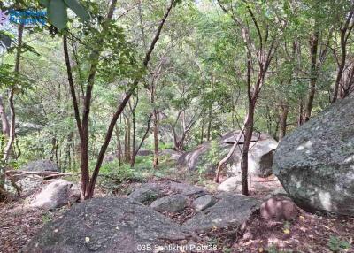 Large Samui Sea View Plot at Santikhiri Estate (1)