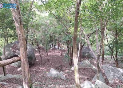 Large Samui Sea View Plot at Santikhiri Estate (1)