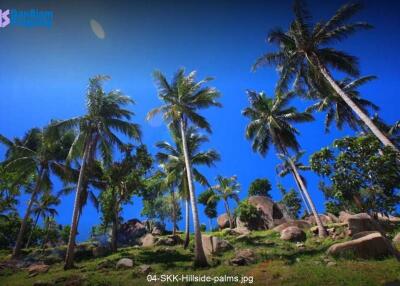 Sanh Kiri Kham Samui (“Community on a Mountain Ridge”)