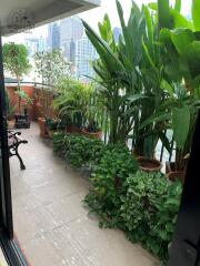 Spacious balcony with an array of potted plants and city view