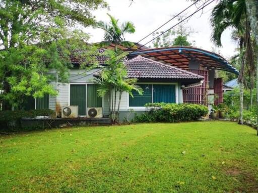 Single-story house surrounded by lush greenery