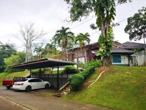 Suburban house with carport and lush greenery