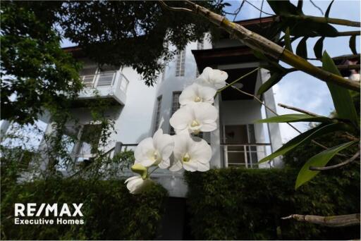 4 Bedroom Villa in Bophut, Koh Samui - Sea views from every Room