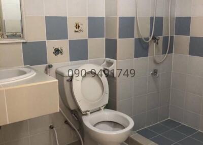 Compact bathroom with tiled walls, shower, and toilet