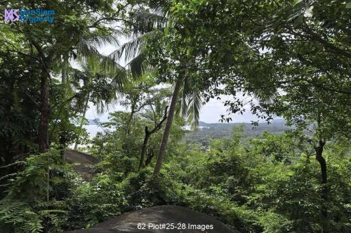 Samui Seaview Villa on Large Land at Santikhiri Estate