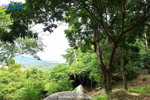 Samui Seaview Villa on Large Land at Santikhiri Estate