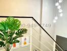 Minimalist interior design of a modern building space with decorative plants