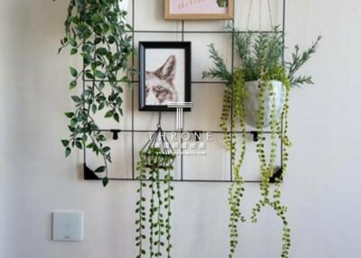 Wall-mounted shelves with decorative plants and framed artwork in a modern living area