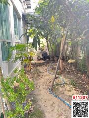 Small outdoor garden with plants and seating next to a building