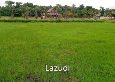 UNIQUE OPPORTUNITY, PRIME LAND FOR SALE IN MAE RIM