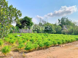 Land for sale in East Pattaya PP10450