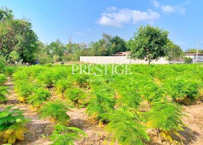 Land for sale in East Pattaya PP10450