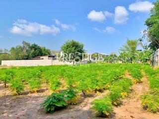 Land for sale in East Pattaya PP10450