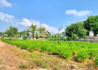 Land for sale in East Pattaya PP10450