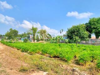 Land for sale in East Pattaya PP10450