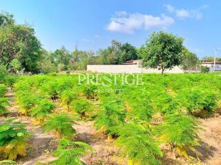 Land for sale in East Pattaya PP10449