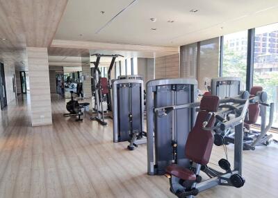 Modern gym with exercise equipment and large windows