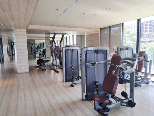 Modern gym with exercise equipment and large windows