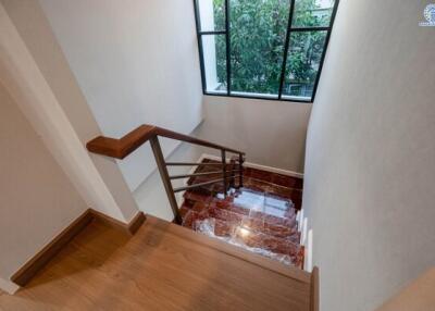 Elegant wooden staircase with polished floors and natural light