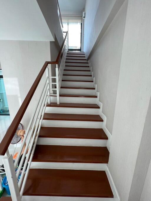 Modern staircase with white walls and wooden steps