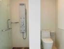 Modern bathroom with shower and toilet facilities