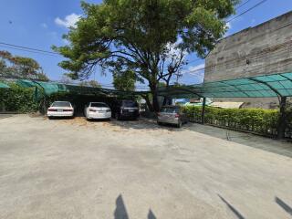 Spacious outdoor parking area with vehicles and shade trees