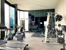 Modern home gym with exercise equipment and city view