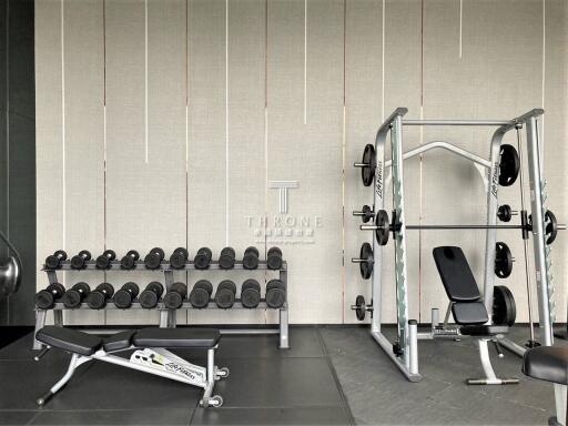 Modern and well-equipped home gym with weights and workout bench