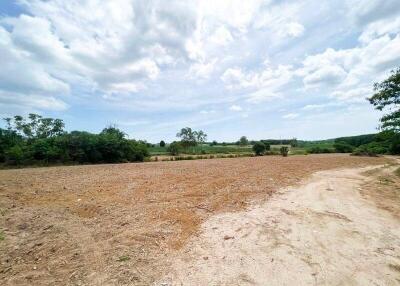 Expansive open land with clear skies and a dirt road