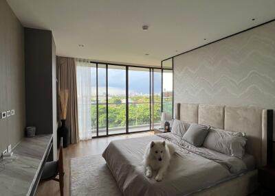 Modern bedroom with large windows and a view, featuring a comfortable bed and a dog