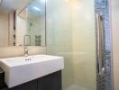 Modern bathroom with glass shower area and vanity sink
