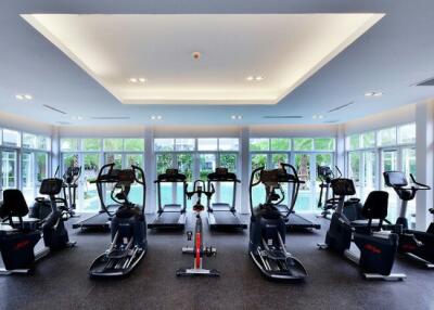 Modern home gym with cardiovascular equipment and large windows