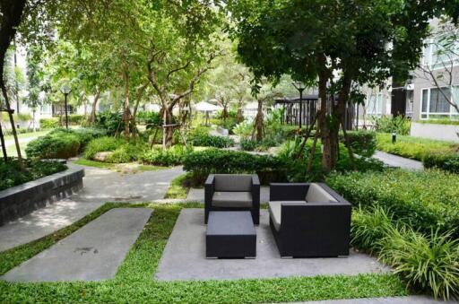 Peaceful garden seating area with lush greenery outside a building