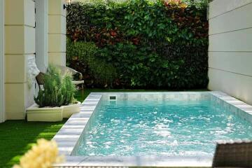 Private swimming pool with garden in a residential backyard