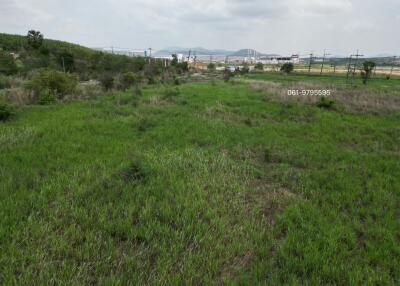 Spacious outdoor land with grass and open sky