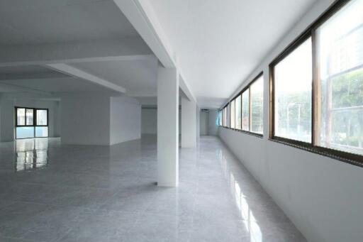 Spacious empty interior of a modern building with large windows