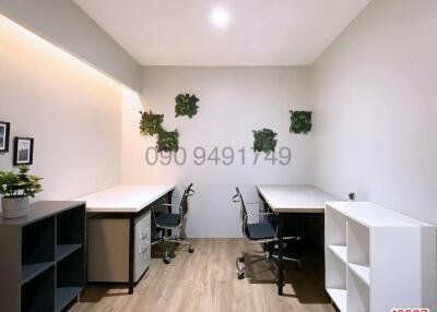 Modern home office with clean design featuring desks, shelving units, and decorative wall plants