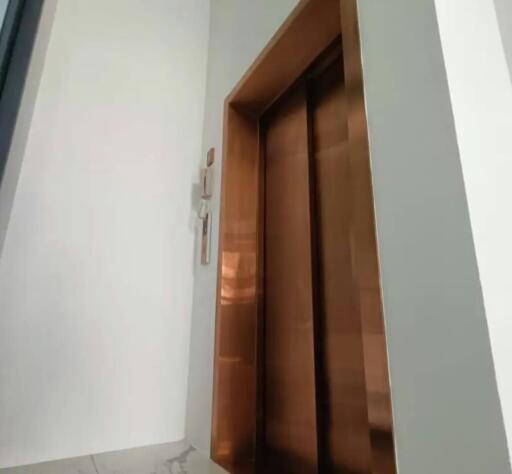 Unclear view of a wooden door partially open