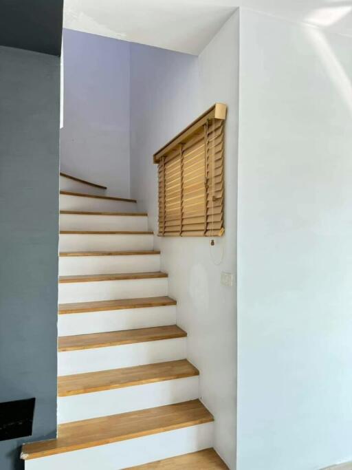 Modern staircase with wooden steps and white walls
