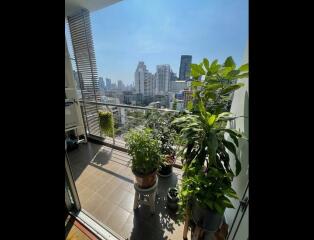 Master Centrium  Stylish 2 Bedroom Condo in Asoke