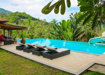Tropical backyard with pool and lounge area
