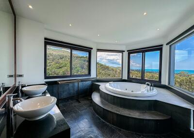 Luxurious bathroom with scenic view