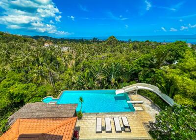 Luxurious pool with a water slide overlooking tropical forest and the ocean