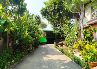 Lush green pathway leading to a residential building with plants and trees